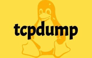 运维必备——Linux 服务器抓包工具 tcpdump 示例详解