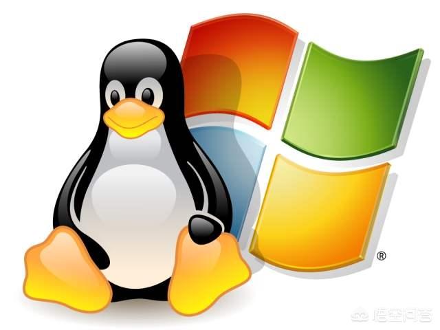 Windows的服务器好用,还是Linux的服务器好用?为何?-第6张图片-贝塔运维 Windows的服务器好用,还是Linux的服务器好用?为何?-第6张图片-贝塔运维