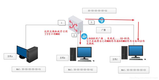 交换机工作原理和配置（华为）-第3张图片-贝塔运维